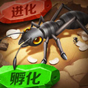 网购开彩网