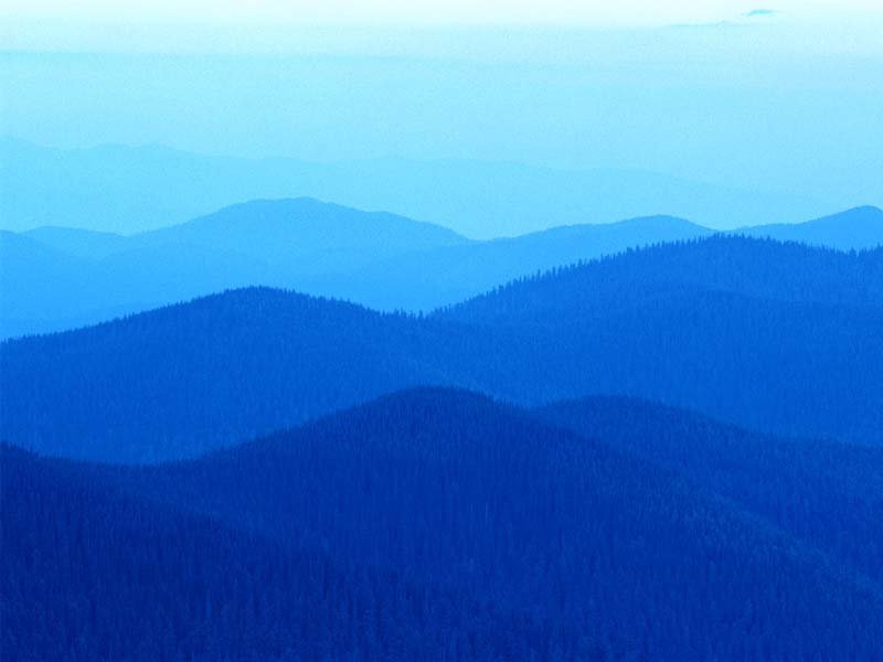 十博官方入口
