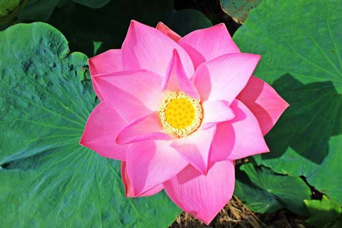 明升游戏平台网址