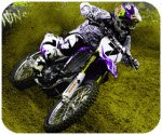 mile米乐官网